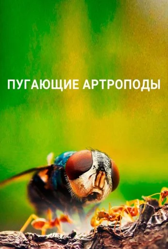Пугающие артроподы (2020)